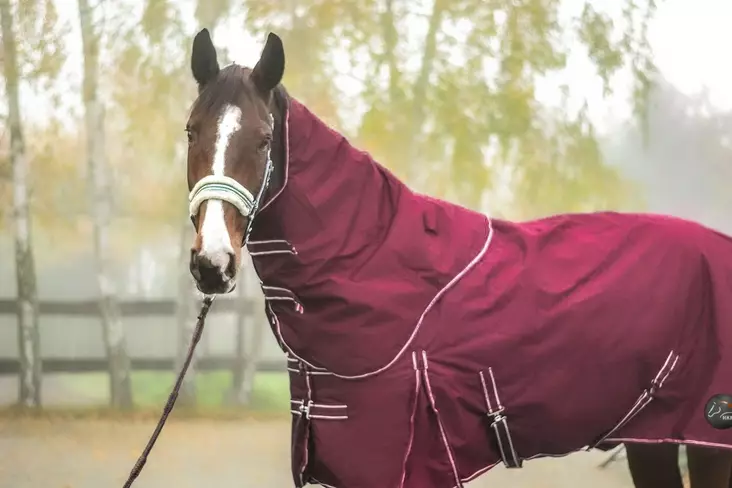 Toppaloimi 400g irrotettavalla kaulakappaleella viininpunainen HKM-sports - Hevosen toppaloimet ulkoiluun - 054347 - 1