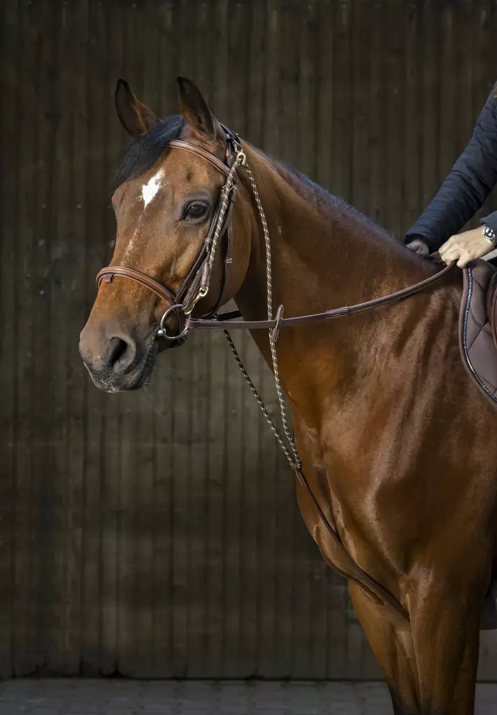 Apuohja chambon nahka/nylon musta tai ruskea niskaosalla Eric Thomas Pro - Ratsuhevosen ohjat ja apuohjat - 051037 - 1