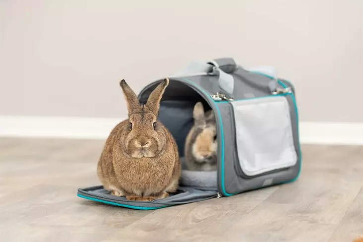 Kantokassi ja pesä Vicky harmaa Trixie - Pieneläinten ulkoilu ja kuljetus - 048137 - 1