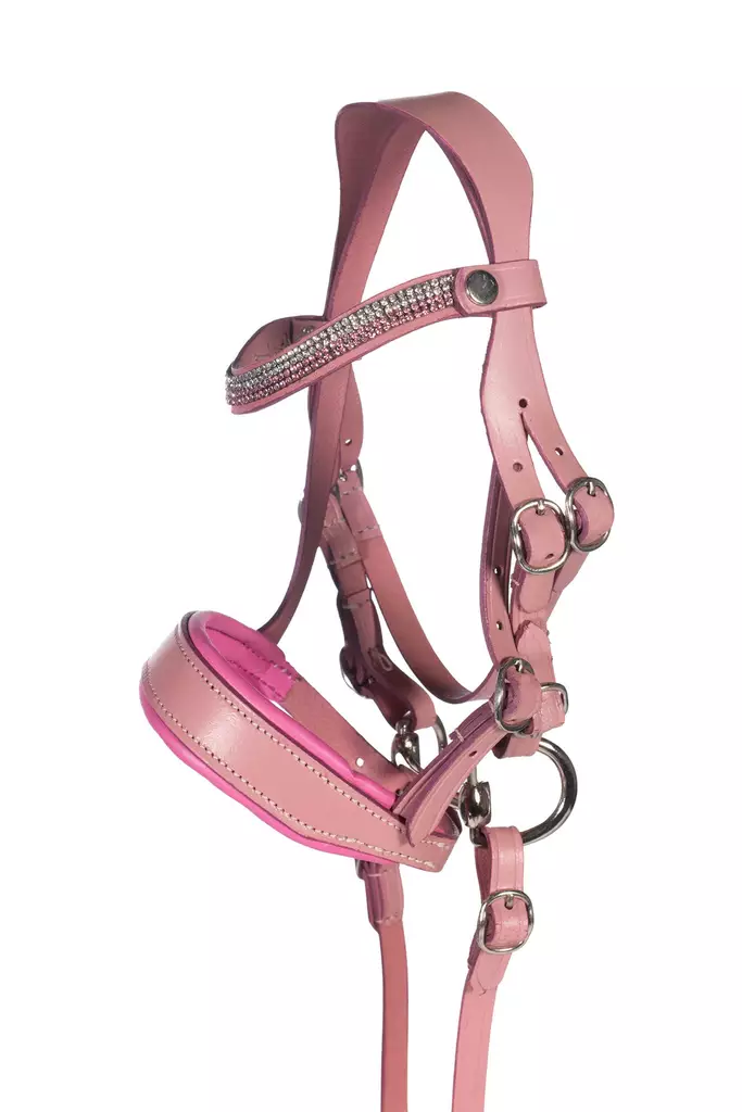 Kepparin nahkaiset suitset pinkki Hobby Horsing HKM-sports - Koti ja sisustus - 059207 - 1