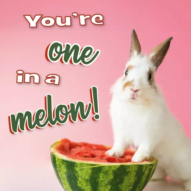 Kortti 13.7x13.7cm You are one in a melon! - Lahjatavarat - 059137 - 1