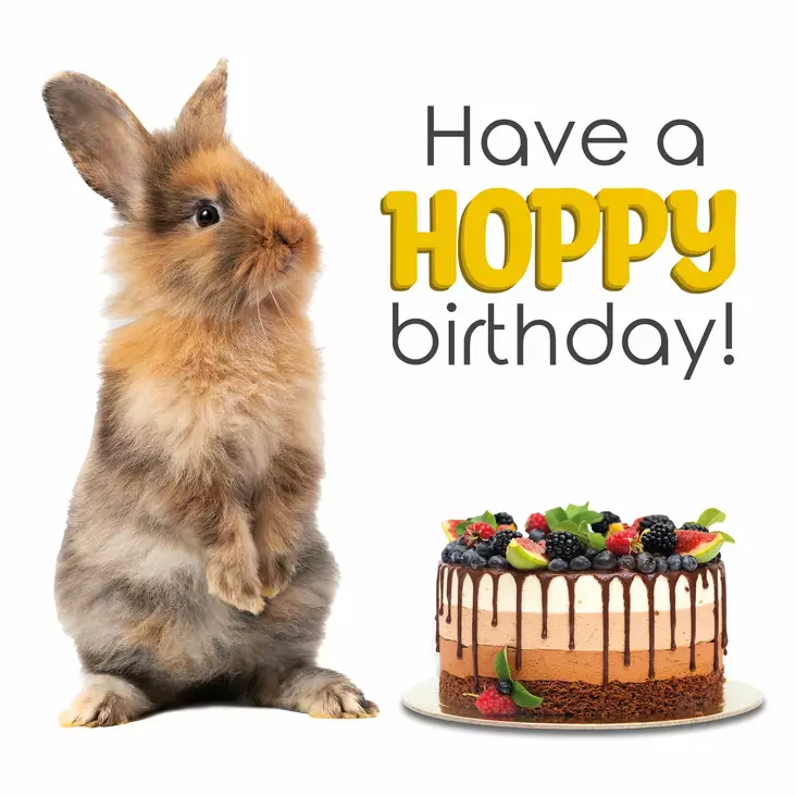 Kortti 13,7x13,7cm Have a Hoppy Birthday! / pupu - Lahjatavarat - 059127 - 1