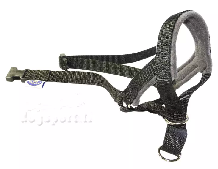 Kuonopanta pehmustettu D&C - Koiran kuonopannat - 047457 - 1