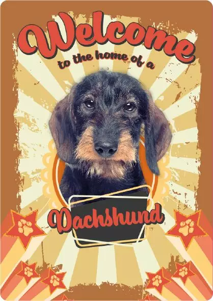 Metallikyltti "Welcome to the Home of a Dachshund" 21x14,8cm Flamingo - Varoitus- ja huomiokyltit - 059347 - 1