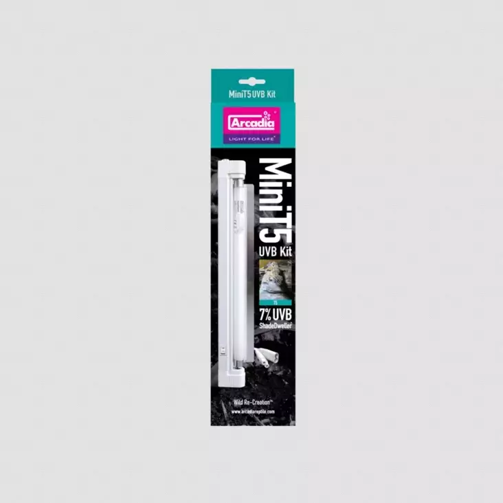 Loisteputki T5 UVB Mini Kit 7% 8W 34,5cm - Terraarion tarvikkeet ja kuivikkeet - 060037 - 1