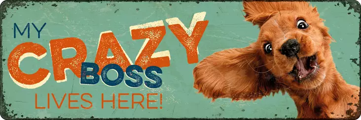 Metallikyltti "My crazy boss lives here" 27x9cm Flamingo - Varoitus- ja huomiokyltit - 059317 - 1
