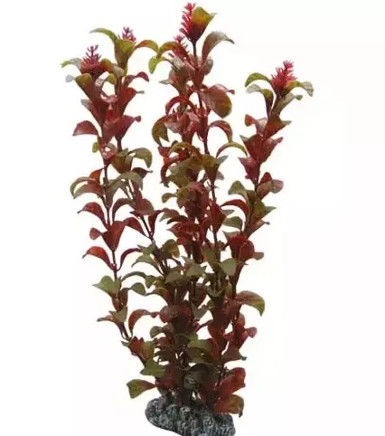 Muovikasvi Rotala 16cm Hobby - Akvaarion tarvikkeet ja hiekat - 059157 - 1