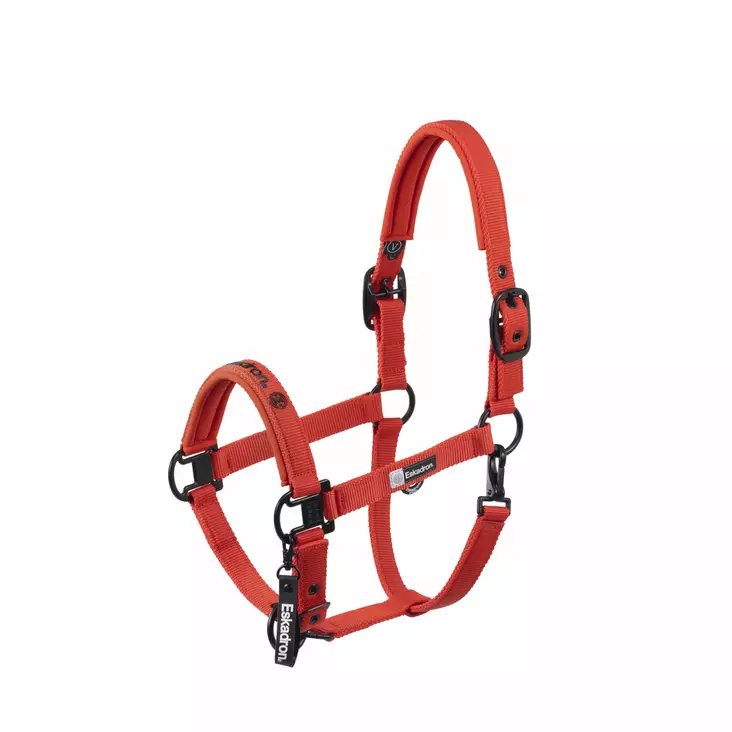 Nylonriimu Double Pin Dynamic poppy red Eskadron - Hevosen nylonriimut - 053907 - 1