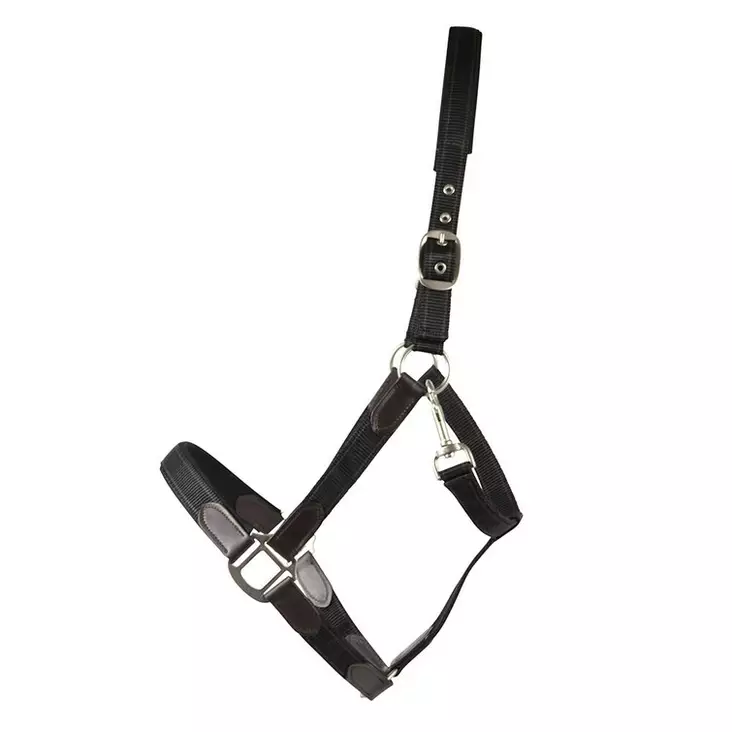 Nylonriimu Edit nahkaisilla yksityiskohdilla musta Hansbo Sport - Hevosen nylonriimut - 053827 - 1