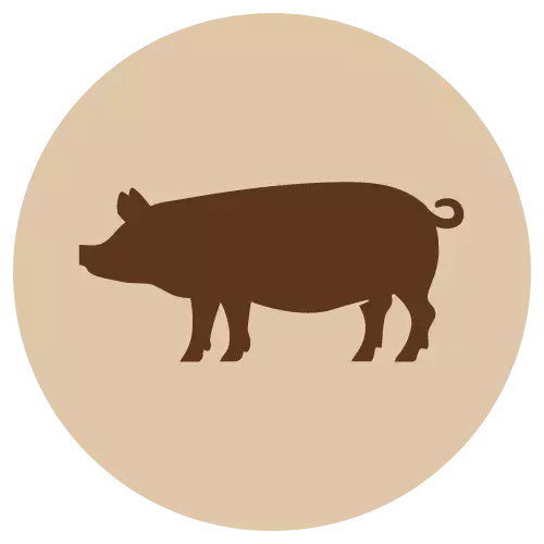 Possun sydän jauhettu 200g Fanimal - Koiralle pakastelihat ja -elimet - 045397 - 1
