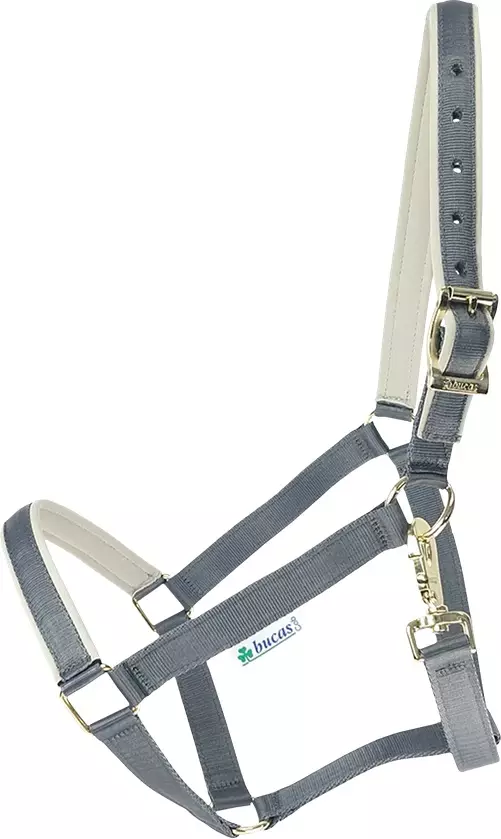 Riimu Dublin irongate/silver Bucas - Hevosen nylonriimut - 030467 - 1