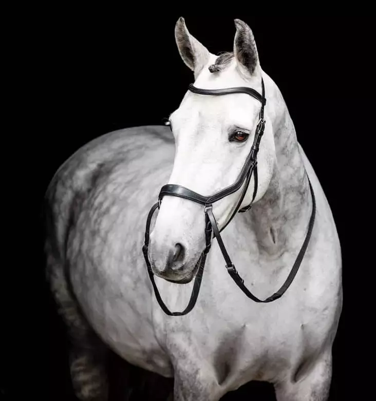 Kuolaimettomat suitset Micklem Britless Bridle FULL musta Horseware - Ratsuhevosen suitset ja turpahihnat - 055437 - 1