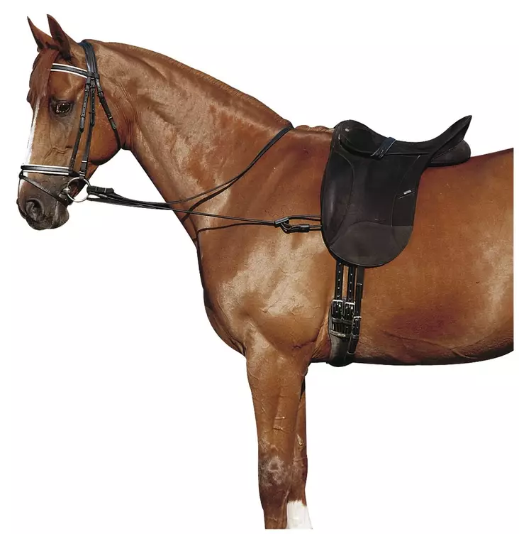 Sivuohjat täysin joustavat säädettävät pari mustat Norton - Ratsuhevosen ohjat ja apuohjat - 051027 - 1