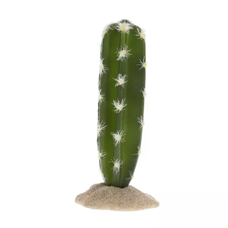 Tekokaktus Columnar 2 pylväskaktus Terra Della - Terraarion tarvikkeet ja kuivikkeet - 059437 - 1