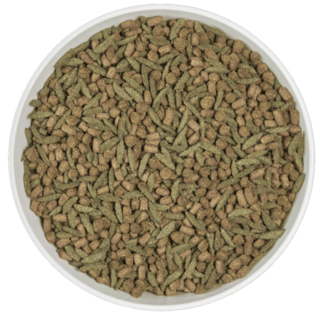 Hamster 500g Alpha Pro Cunipic - Hamsterin ja hiirien ruoka - 038428 - 2