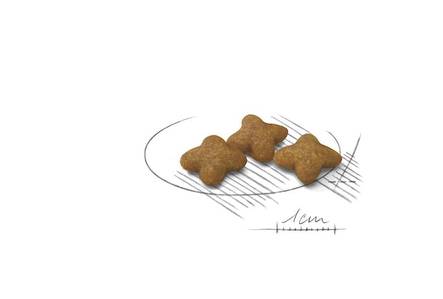 Sterilised Adult X-SMALL 1,5kg Royal Canin - Koiran kuivaruoat aikuisille koirille - 001068 - 3