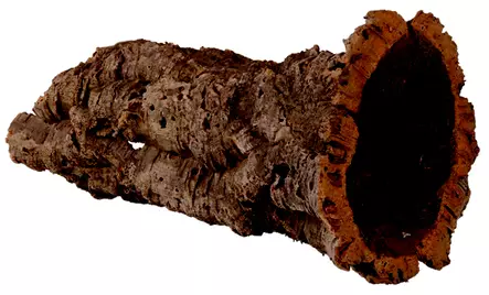 Korkkipuutunneli L 19x55cm Trixie - Terraarion tarvikkeet ja kuivikkeet - 041618 - 1