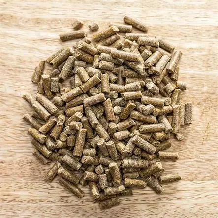 High Performer St Hippolyt - Lisäravinteet energialisät ja kilpailut - 055878 - 2