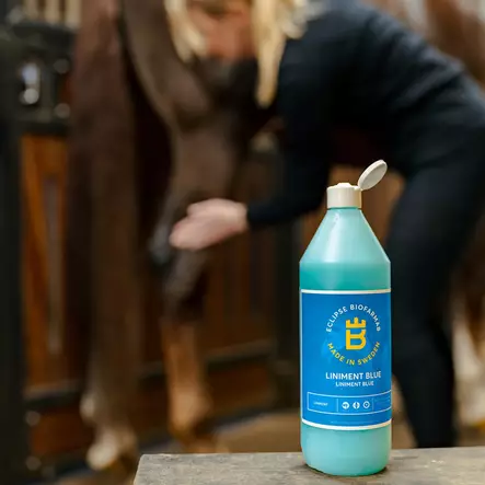 Liniment Blue kaksiteholinimentti Eclipse Biofarmab - Linimentit ja pliisterit hevoselle - 003528 - 2
