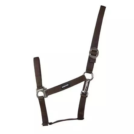 Nylonriimu Core ruskea Hansbo Sport - Hevosen nylonriimut - 056618 - 2