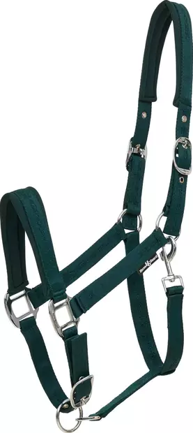 Nylonriimu Diya 2.0 XXFULL ponderosa pine HorseGuard - Hevosen nylonriimut - 057588 - 1