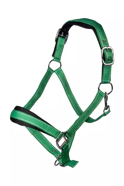 Nylonriimusetti Lilly hyönteishapsuilla vihreä HKM-sports - Hevosen nylonriimut - 055928 - 2