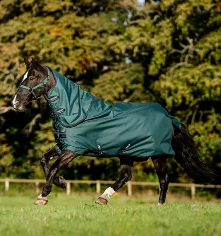 Sadeloimi Amigo Ripstop irrotettavalla kaulakappaleella PONY 900D Plus 0g dynasty green/navy & silver Horseware - Hevosen toppaloimet ulkoiluun - 059388 - 2