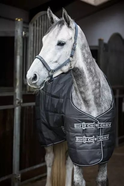 Talliloimi Sophie 100g 600D Asphalt HorseGuard - Hevosen kevyttoppatalliloimet - 054668 - 2