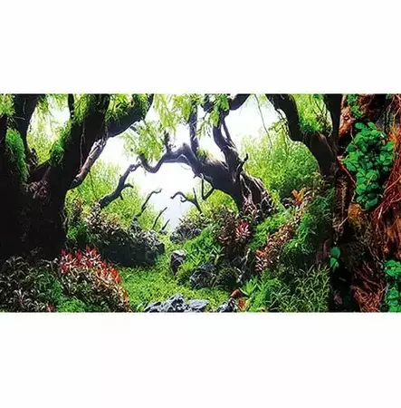 Taustakuva liimalla Dream/Wooden Sky 120x50cm Hobby - Akvaarion tarvikkeet ja hiekat - 059158 - 2