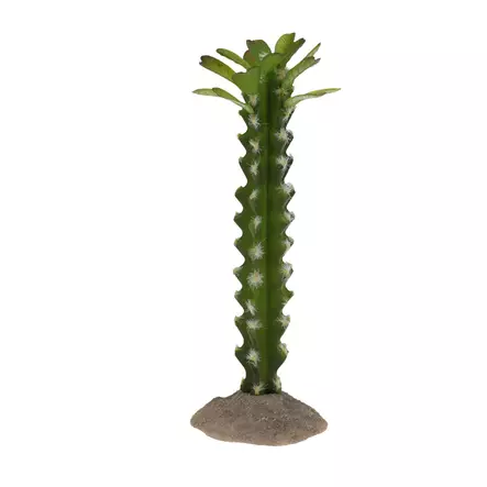 Tekokaktus Columnar 3 pylväskaktus Terra Della - Terraarion tarvikkeet ja kuivikkeet - 059438 - 1