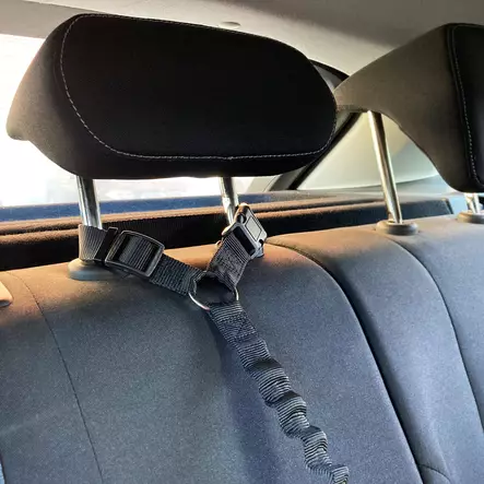 Turvavyö niskatukeen Ramone jousto-osalla musta Flamingo - Koiran turvavaljaat ja liittimet - 056958 - 2