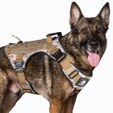 Y-valjas Tactical desert camo Cerberos - Koiran Y-valjaat - 059038 - 2