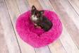Pehmopeti Krems pyöreä 50x25cm tumma pinkki Flamingo - Koiran reunalliset pedit - 038308 - 2