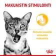 Sensory MIX 12x85g kastike Royal Canin - Aikuisten kissojen säilykkeet - 025898 - 5