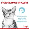 Sensory MIX 12x85g kastike Royal Canin - Aikuisten kissojen säilykkeet - 025898 - 6