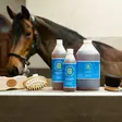 Arnika Gel arnikageeli Eclipse Biofarmab - Linimentit ja pliisterit hevoselle - 003518 - 4