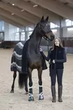 Fleecehuopa Squared S 180x160cm musta-raidallinen HorseGuard - Hevosen kuivatusloimet - 059918 - 5