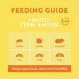Hamster Gerbil & Mouse 750g Burgess - Hamsterin ja hiirien ruoka - 052728 - 2