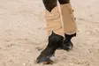Jännesuojat Softshell Jewel sierra Eskadron - Hevosen vuohis- ja hivutussuojat - 056078 - 2