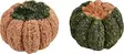 Jyrsijän Kurpitsaherkku Pumpkin 2kpl 3,5cm Companion - Pieneläinten herkut ja namipalat - 057598 - 1