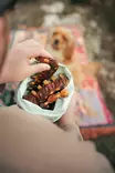 Kanaherkku BBQ Ribs 16cm KG Flamingo - Koiran herkut ja makupalat - 059088 - 2