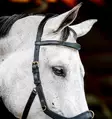Monitoimisuitset Micklem 2 Multi musta Horseware - Ratsuhevosen suitset ja turpahihnat - 055438 - 4