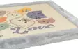 Raapimismatto Mimi jousilelulla 70x45cm harmaa Trixie - Kissan raapimalaudat ja -tolpat - 057998 - 2