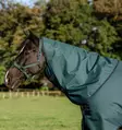 Sadeloimi Amigo Ripstop irrotettavalla kaulakappaleella PONY 900D Plus 0g dynasty green/navy & silver Horseware - Hevosen toppaloimet ulkoiluun - 059388 - 3