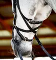 Monitoimisuitset Micklem 2 Multi musta Horseware - Ratsuhevosen suitset ja turpahihnat - 055438 - 5