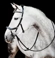 Monitoimisuitset Micklem 2 Multi musta Horseware - Ratsuhevosen suitset ja turpahihnat - 055438 - 6