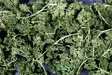 Yrtti-persilja salaatti 50g JR Farm - Pieneläinten herkut ja namipalat - 042538 - 2