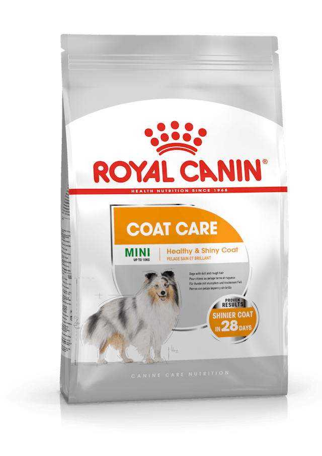 Coat Care Adult MINI 3kg Royal Canin - Koiran kuivaruoat aikuisille koirille - 013708 - 2