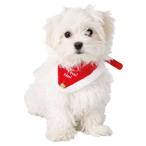 Kaulapanta huivilla 37-47cm Joulu Trixie - Koiran erikoispannat - 026998 - 1