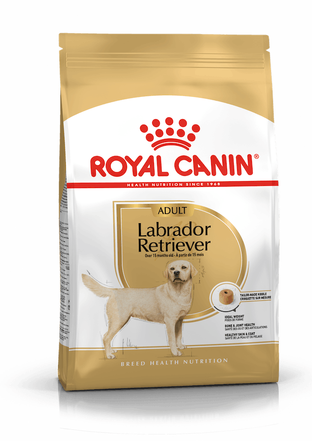 Labrador Retriever Adult 12kg Royal Canin - Koiran kuivaruoat aikuisille koirille - 000928 - 1